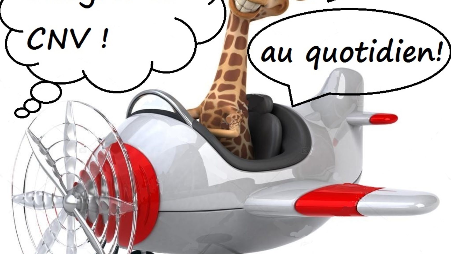 illustration d'une girafe dans un avion