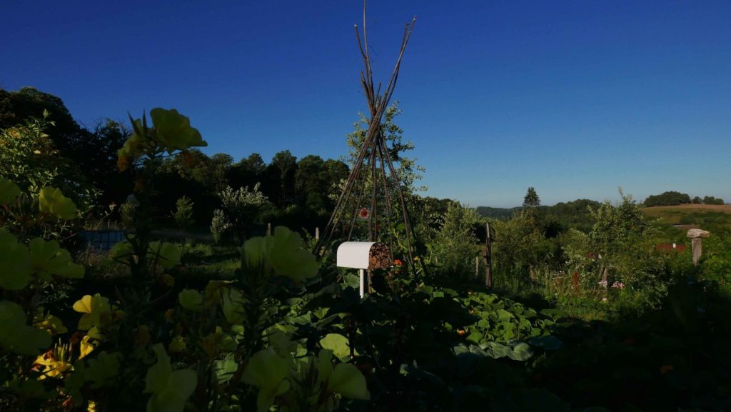 Boite aux lettres ouverte au milieu d'un jardin sur fond de ciel bleu